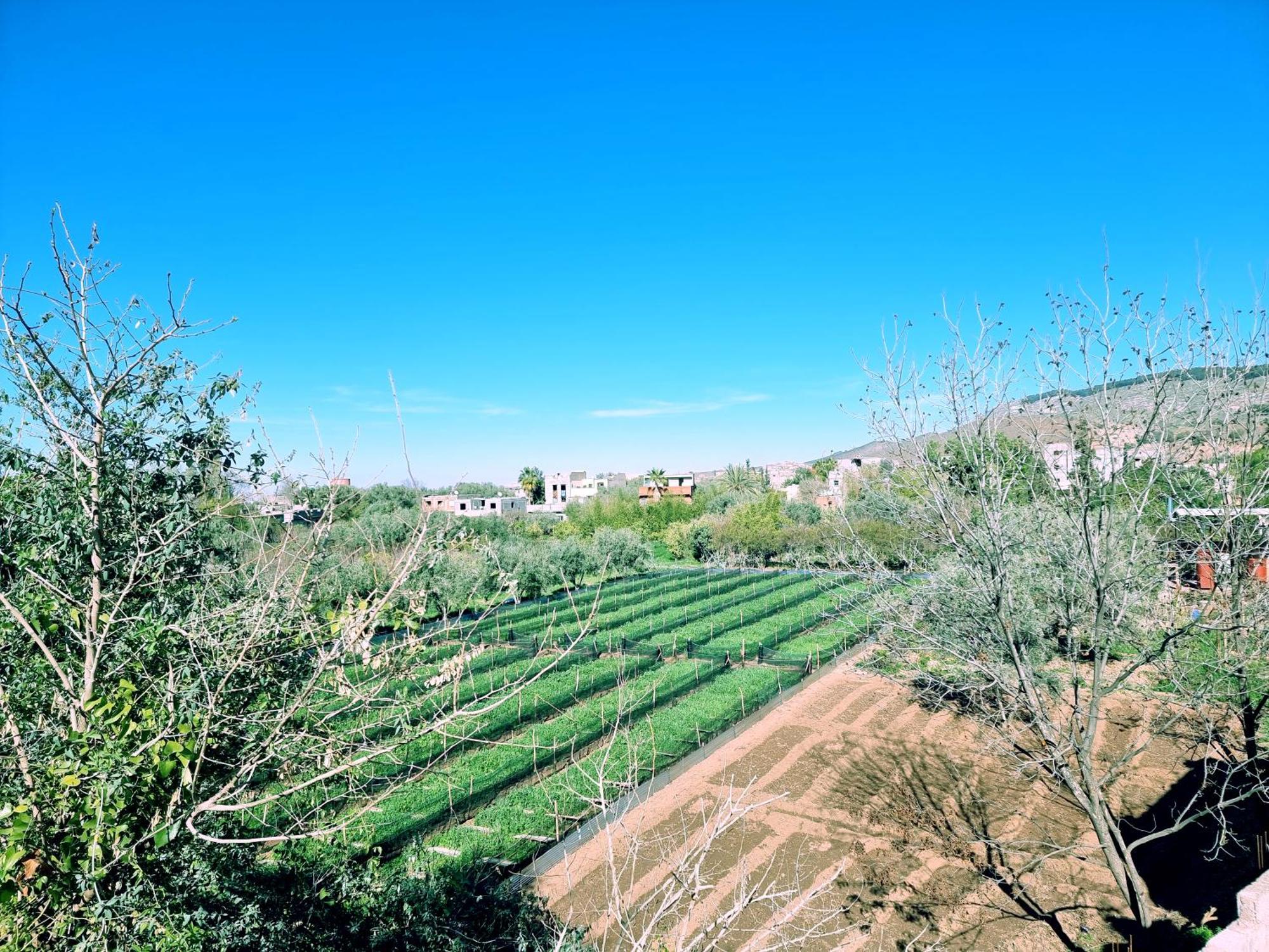 Villa Des Etoiles Ourika Εξωτερικό φωτογραφία